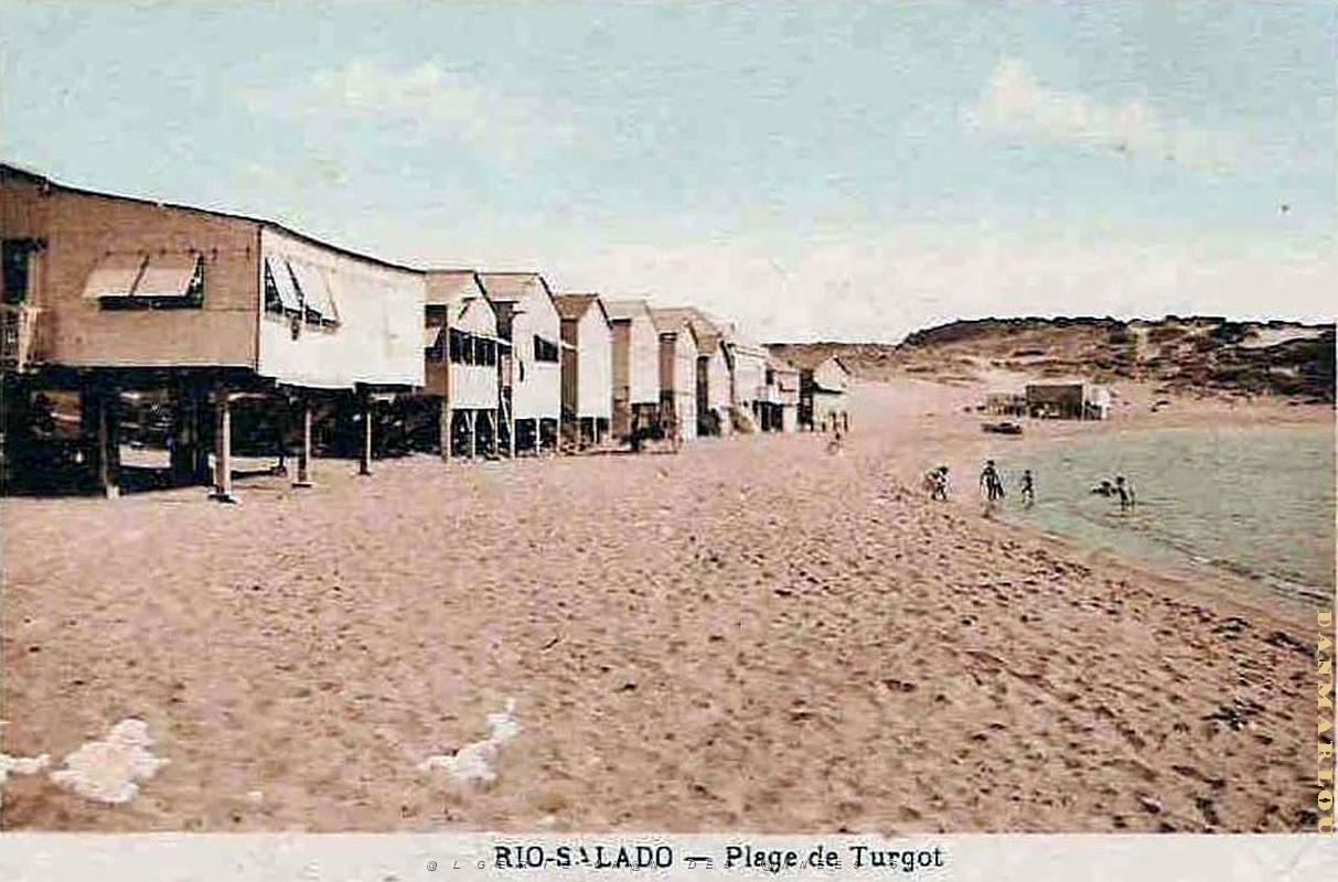 Rio salado  610.jpg